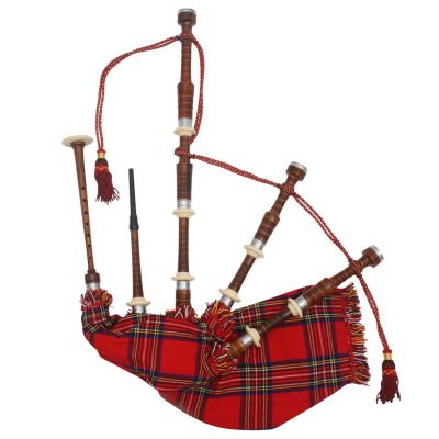 Full Engraved Metal Mounts Rose Wood Bagpipe